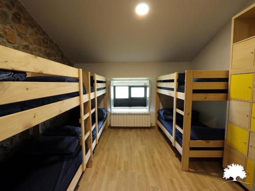 Bed in 10-Bed Mixed Dormitory Room