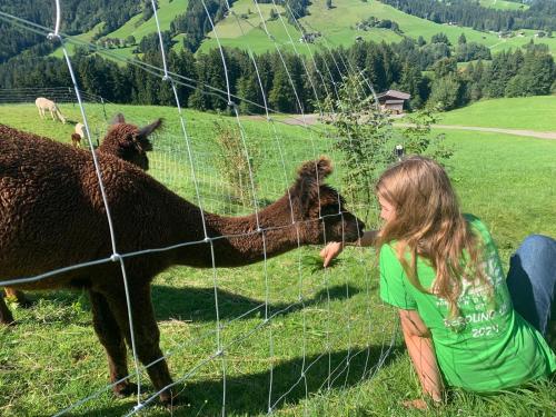 Grillinghof, Kirchberg in Tirol (zdjęcie 9)
