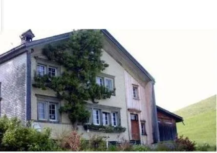 Ferienhaus Brand in Gais, Schweiz