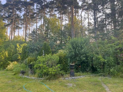 Villa Antyki24 Nad Białym Jeziorem Spotkania Rodzinne i Eventy