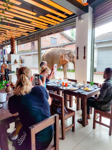 레스토랑, Elepath Lodge Pinnawala in 핀나왈라