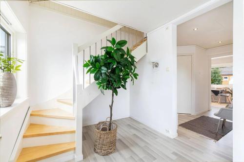 Apartment centrally located in Kristiansand, four bedrooms in Lund