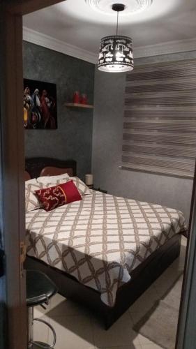 Appartement Conviviable Et Chaleureux