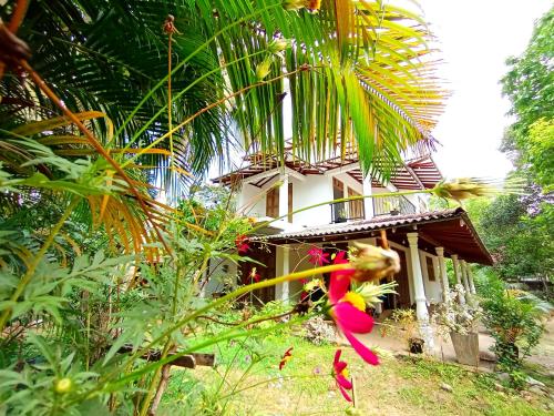 Dinew Villa, Weligama