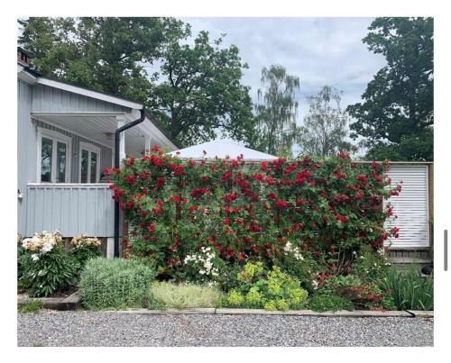 Lake house, Stockholm (photo 6)