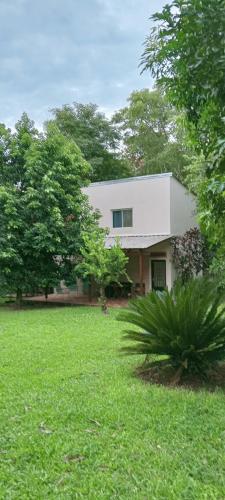 Selva Lunar