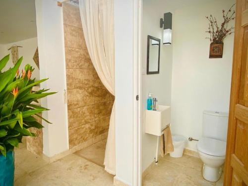 Ducha, Tropical Tranquility in Tera Kora