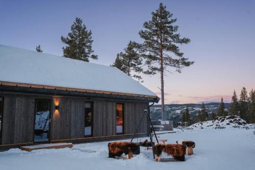 Ski centre, sauna, hot tub in Nesbyen
