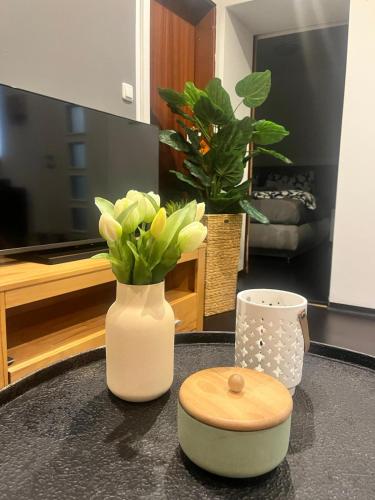 Apartment am Hauptbahnhof, Norimberga (foto 7)