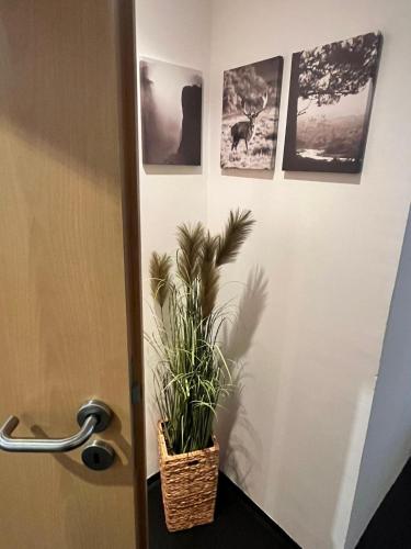 Apartment am Hauptbahnhof, Norimberga (foto 4)