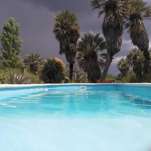 Palmares al cerro