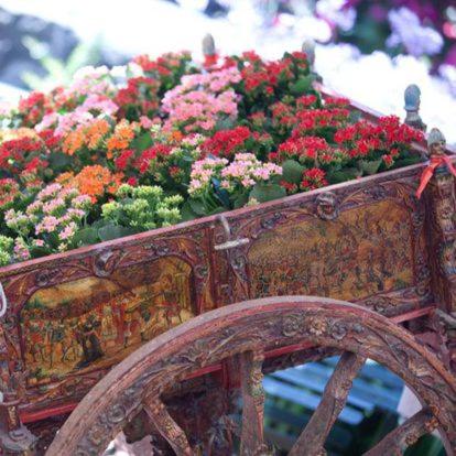 Agriturismo Il Sole e Il sale in อชีเรอาเล