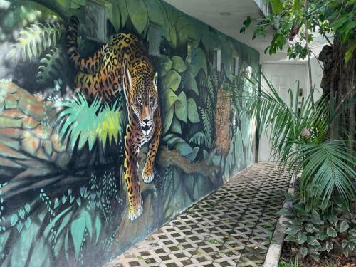 Casa Balam Cayo Lobo - image 5