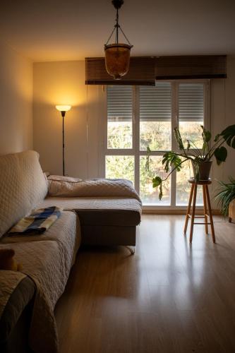 . Cozy apartment in the mountains