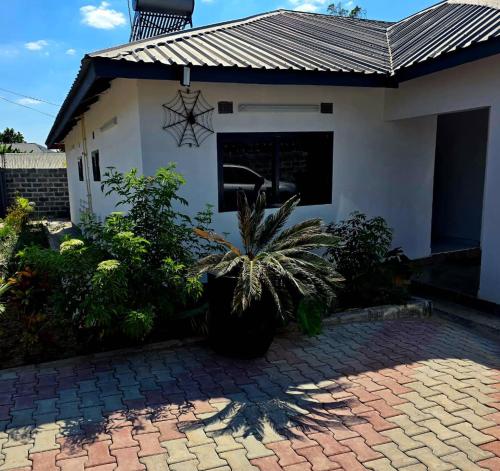 Zachi Zebra Apartment in คิตเว่