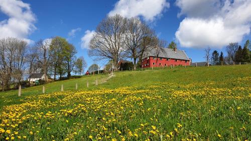 Viesnīcas āriene, Ferienhaus Gut Haselbach im Erzgebirge in Pfaffroda