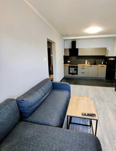 WYPOSAŻONY APARTAMENT, 10 KM szlakiem na Śnieżkę, otoczony górami i spokojem