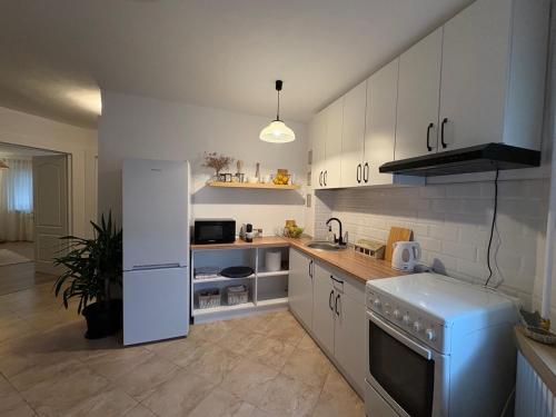 ZMC Apartment in Orastie