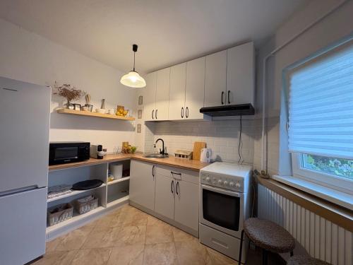 ZMC Apartment in Orastie