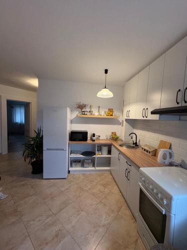 ZMC Apartment in Orastie