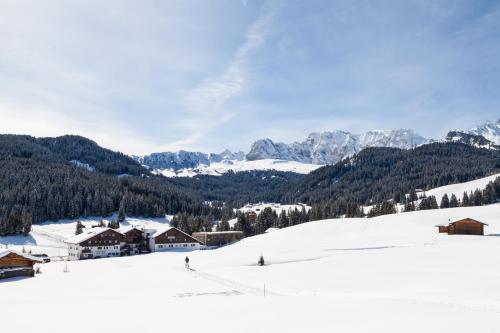 Hotel Saltria - true alpine living - image 10