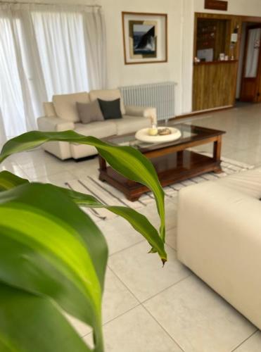 Hotel Bahia Madryn in بويرتو مادرين