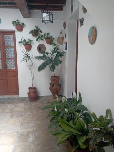 Casa Quimar
