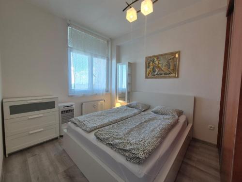 Cosy 2 bedroom flat close to the town with parking, Bratislava (foto 9)