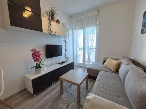 Cosy 2 bedroom flat close to the town with parking, Bratislava (foto 6)