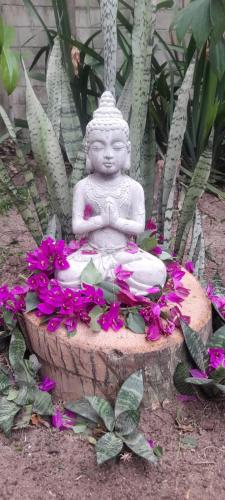 Trem Da Mata – Trancoso, OH
