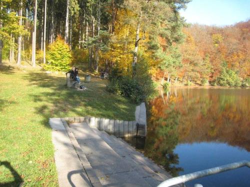 設施, Holiday home Bauernhauschen in the Rhon in 伯恩斯豪森
