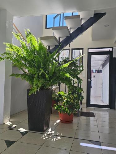 출입구, Altamira Apart Suites in 루미팜바