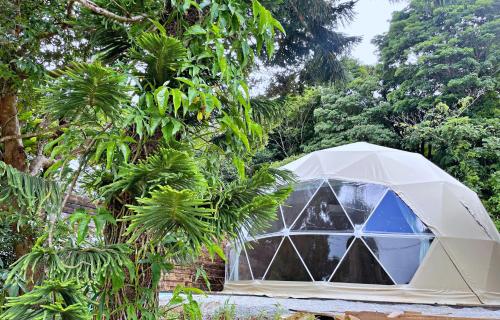 GLAMFOREST Okinawa 名護