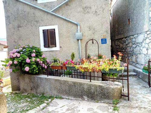  Apartment Merikanić, Unterkunft in Beli