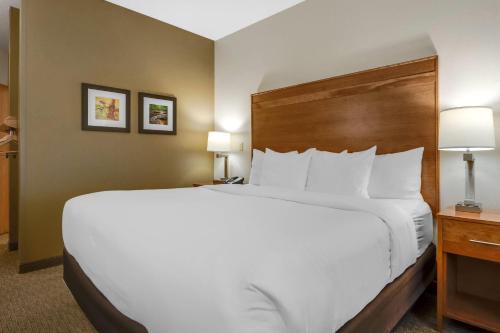Comfort Inn in Millersburg, USA