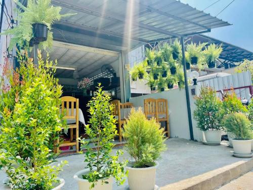 Ochatee Hostel  - 레스토랑