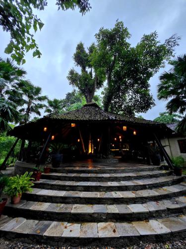 外部景觀, Siddhartha Wildlife Retreat in 梅格好利