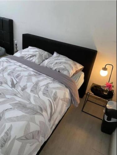Big beautiful appartement in center of Antwerpen, Amberes (foto 8)