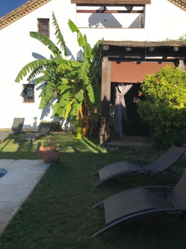 Dārzs, Casa Cortijo in La Luisiana