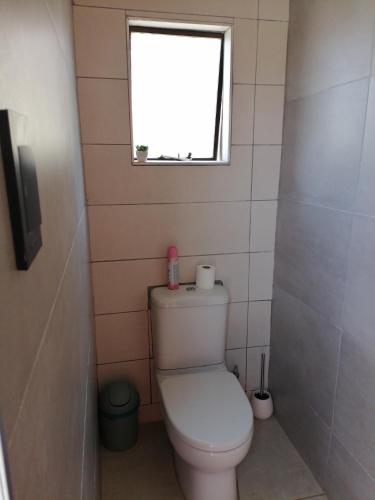 Black Oyster in Katlehong