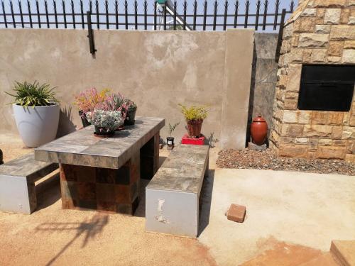 Black Oyster in Katlehong