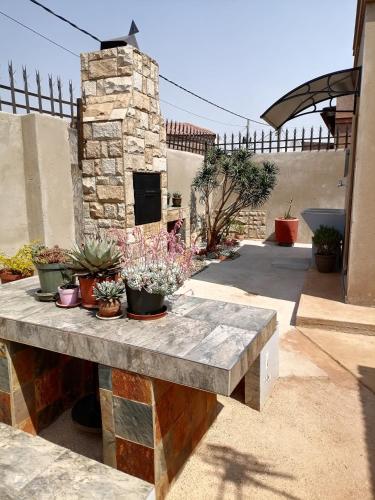 Black Oyster in Katlehong