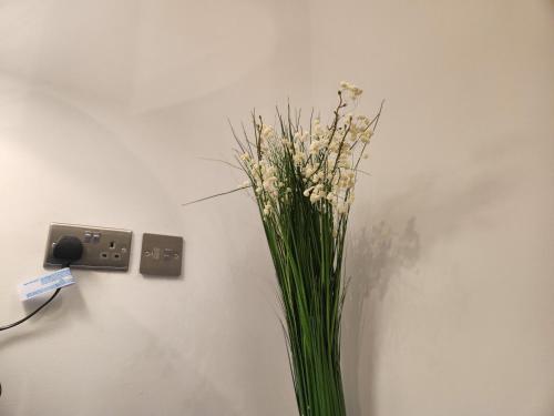 Ground Floor Apartment, Manchester (photo 6)