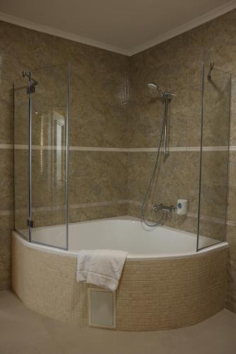 法蘭西旅館 (France) in 文尼察