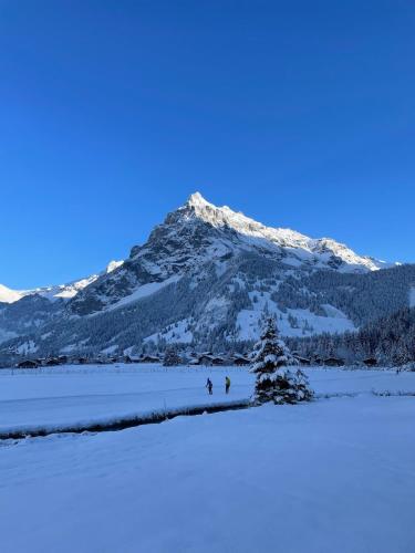 Cute chalet in Kandersteg, Kandersteg (fotografie 5)