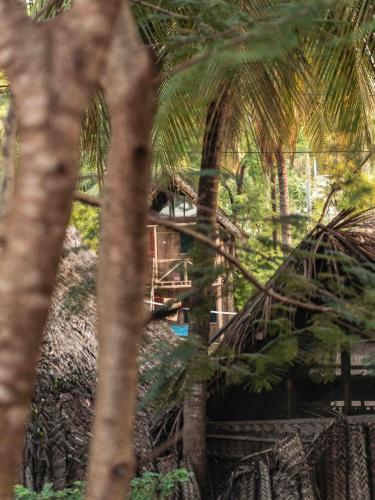 Your Zanzibar Place – Zanzibar City