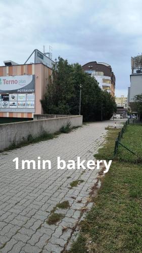 Pretty Nice view Apartment, Private Parking, 8min to center by car, Bratislava (fotografie 4)