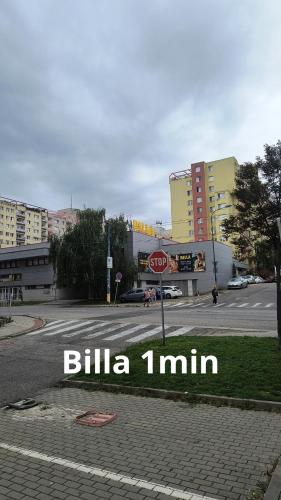Pretty Nice view Apartment, Private Parking, 8min to center by car, Bratislava (fotografie 3)