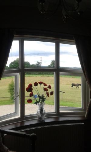 Meadow Farm Cottage - image 14