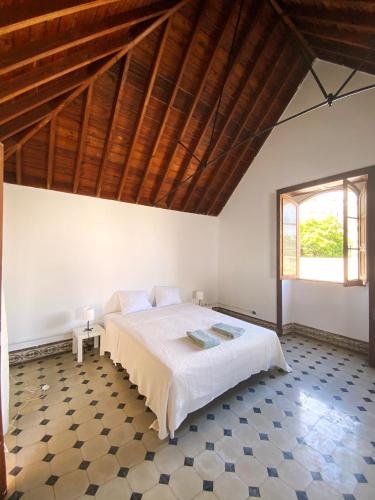 Comfortable Room in Historic Casa Quesada Shared House 3